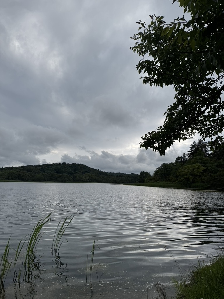 白河市・南湖公園の湖畔の風景